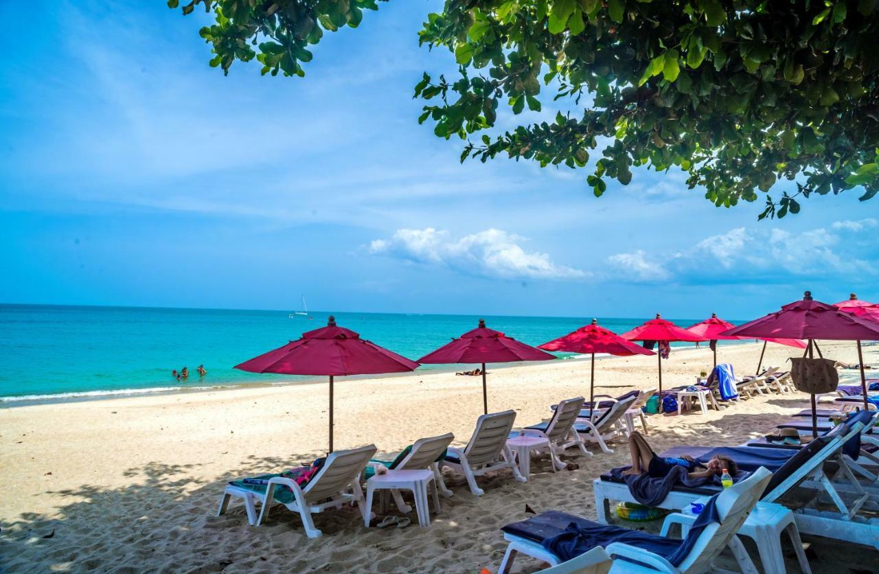 Samui Sense Beach Resort Ламаи-Бич Экстерьер фото